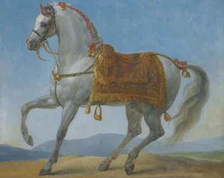Le cheval arabe de Napoléon Bonaparte, Marengo